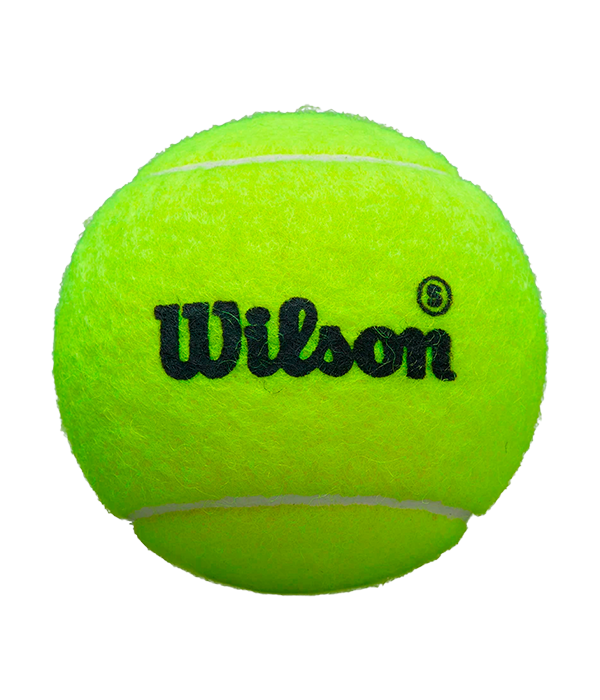 Wilson Padel Premier Speed Ball Box (Pack of 24)